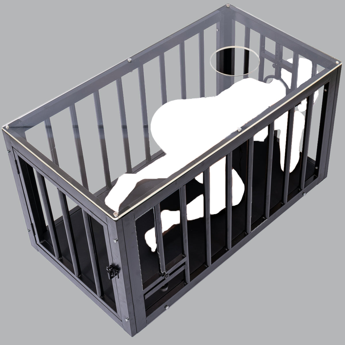 Pet Play Cage and Coffee Table