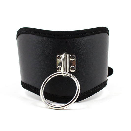 Posture Collar With Leash