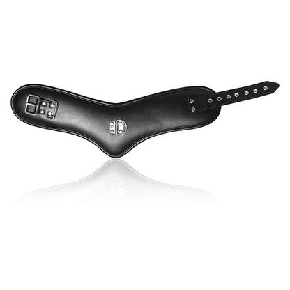 Padded Posture Collar With Leash Ring