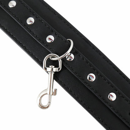 Double Lock Arm Binder
