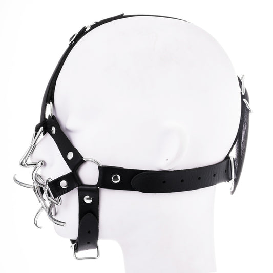 Open Mouth Gag With Nose Hook Head Harness