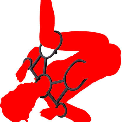 Fixed Frame Handcuff, Collar and Leg Restraint