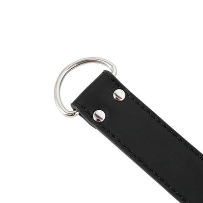 Double Lock Arm Binder