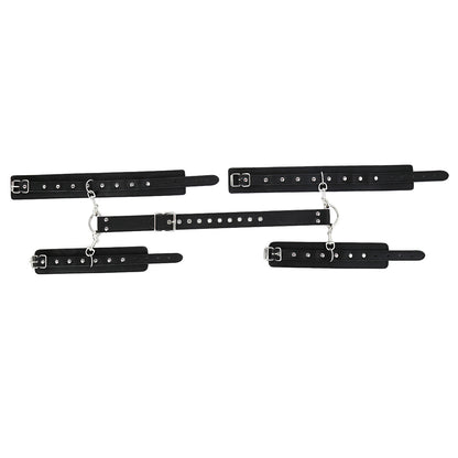 Double Lock Arm Binder